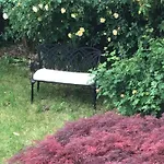 Rheingauzuhause Mit Privatpool