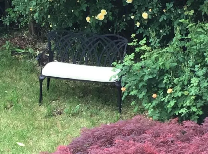 Rheingauzuhause Mit Privatpool